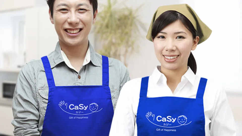 CaSy banner